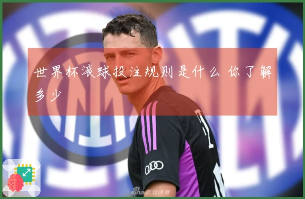 世界杯滚球投注规则是什么 你了解多少