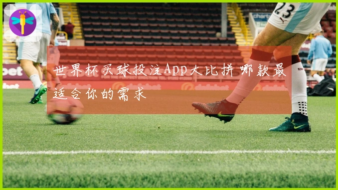 世界杯买球投注App大比拼 哪款最适合你的需求