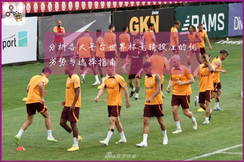 分析各大平台世界杯竞猜投注的优劣势与选择指南