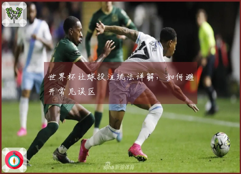 世界杯让球投注玩法详解,如何避开常见误区