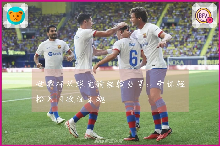 世界杯买球竞猜经验分享，带你轻松入门投注乐趣