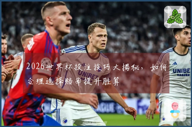 2026世界杯投注技巧大揭秘，如何合理选择赔率提升胜算