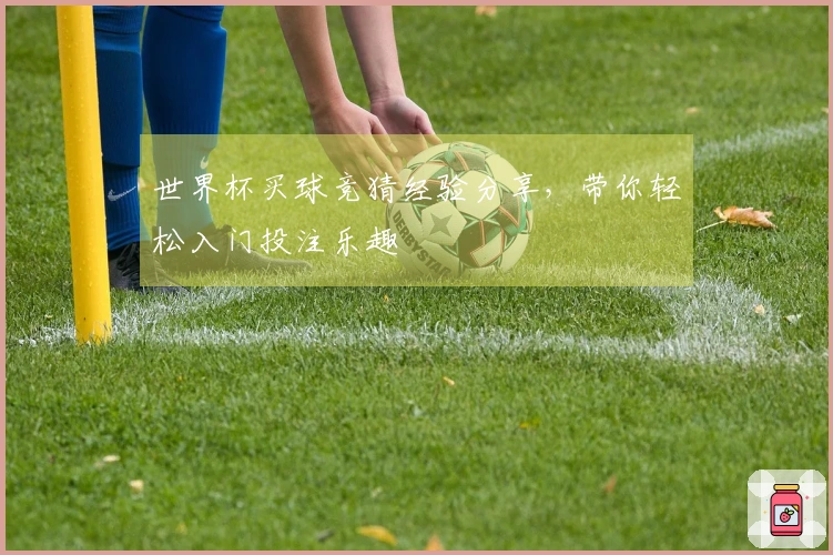 世界杯买球竞猜经验分享，带你轻松入门投注乐趣
