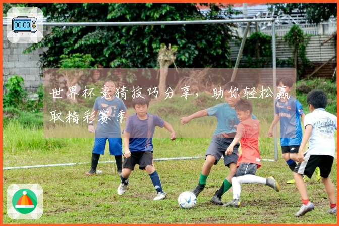 世界杯竞猜技巧分享，助你轻松赢取精彩赛季