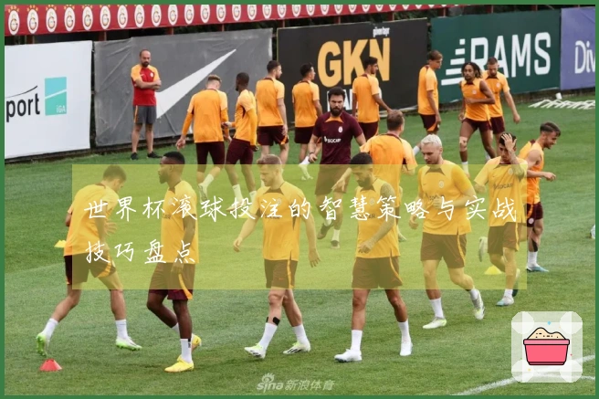 世界杯滚球投注的智慧策略与实战技巧盘点