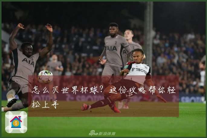 怎么买世界杯球？这份攻略帮你轻松上手