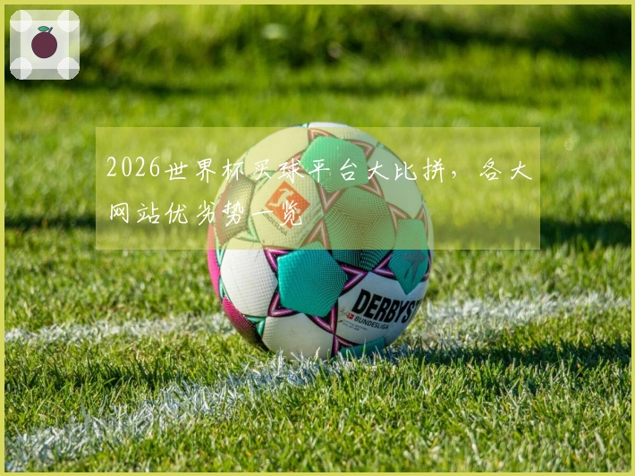 2026世界杯买球平台大比拼，各大网站优劣势一览