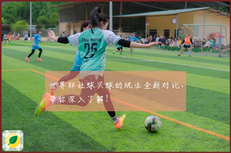 世界杯让球买球的玩法全新对比，带你深入了解！