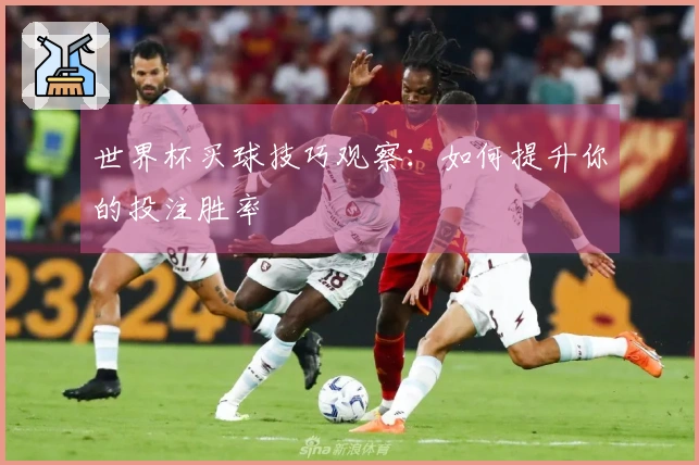 世界杯买球技巧观察：如何提升你的投注胜率
