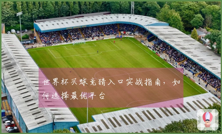 世界杯买球竞猜入口实战指南，如何选择最优平台
