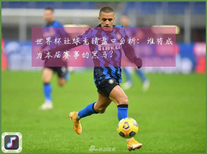 世界杯让球竞猜盘口分析：谁将成为本届赛事的黑马？