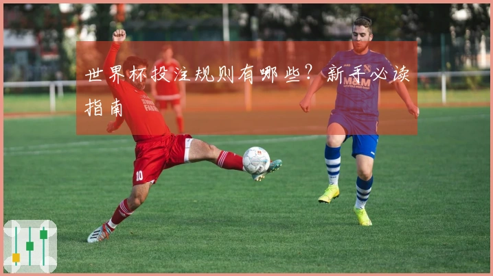世界杯投注规则有哪些？新手必读指南