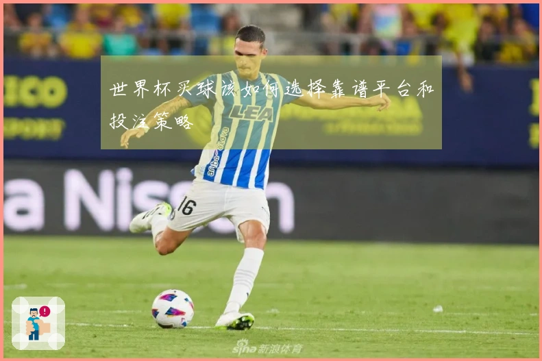 世界杯买球该如何选择靠谱平台和投注策略